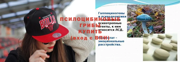 индика Армянск