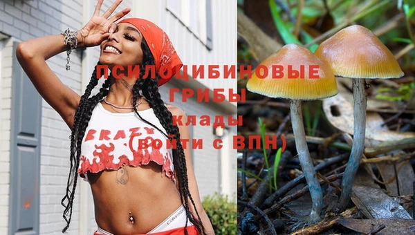 ГАЛЛЮЦИНОГЕННЫЕ ГРИБЫ Арсеньев