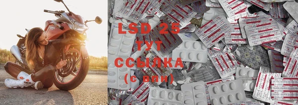 индика Армянск