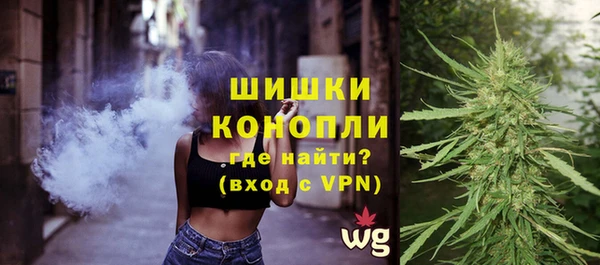 PSILOCYBIN Аркадак
