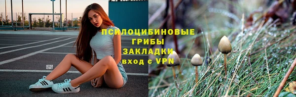 PSILOCYBIN Аркадак