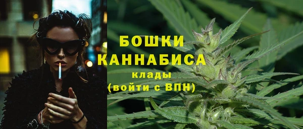 PSILOCYBIN Аркадак
