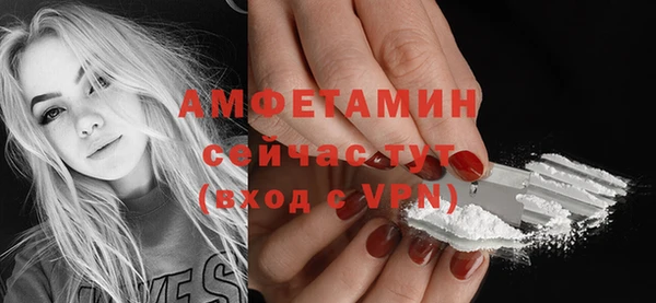 индика Армянск