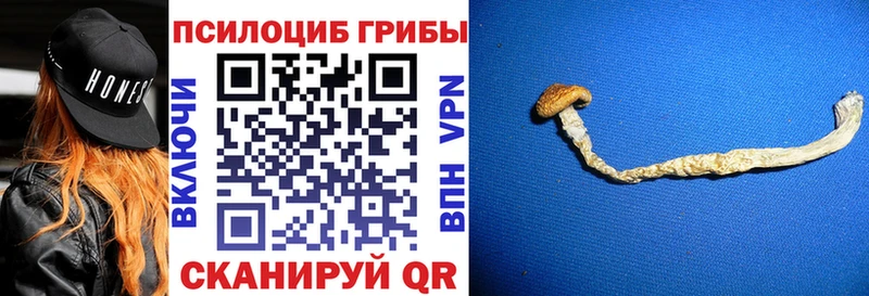 Галлюциногенные грибы Psilocybe  наркотики  kraken маркетплейс  Трубчевск 